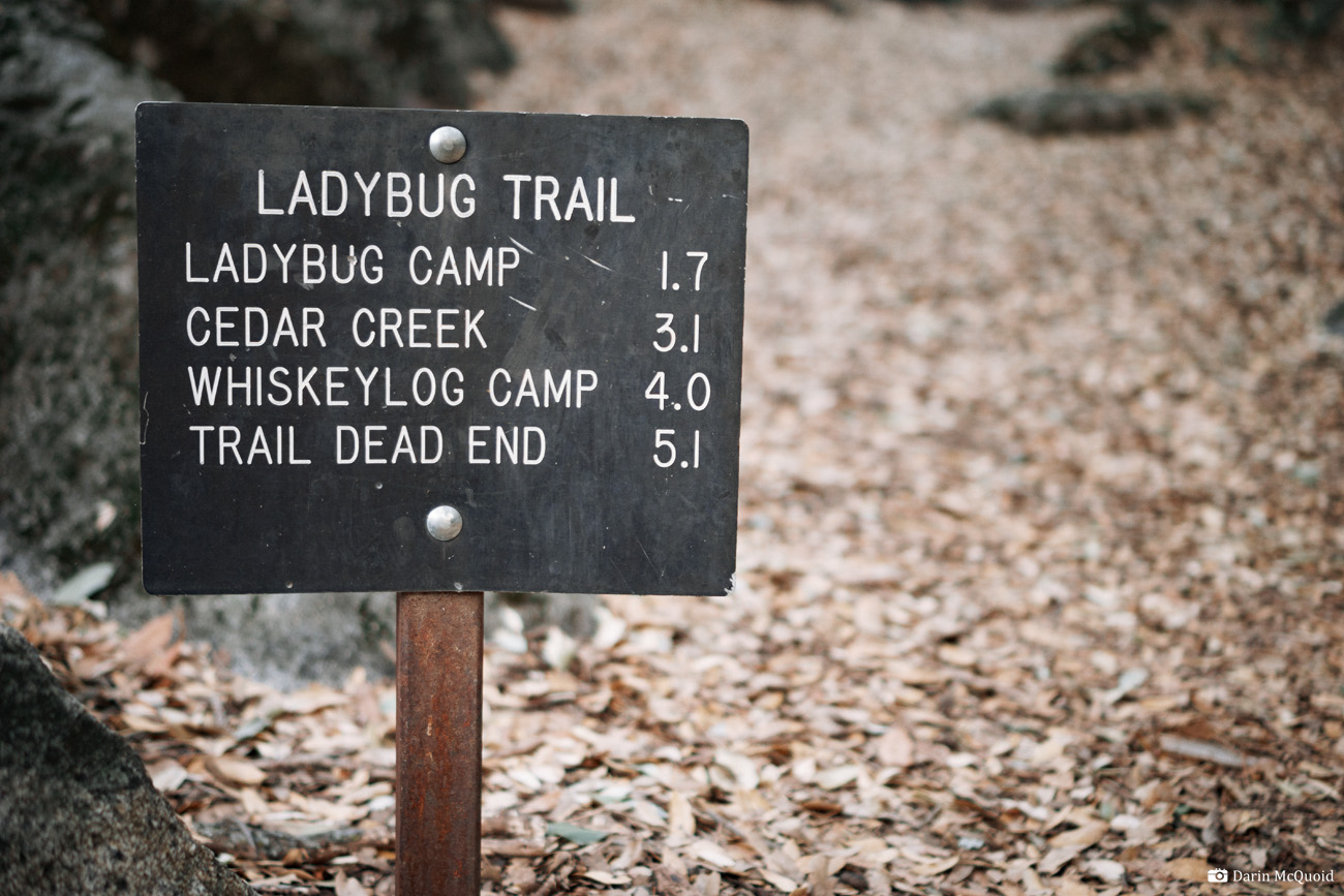 Ladybug trail outlet sequoia